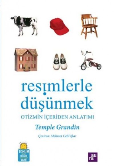 Resimlerle Düşünmek