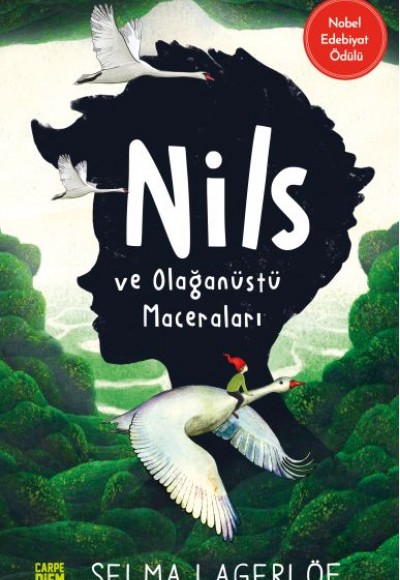 Nils ve Olağanüstü Maceraları