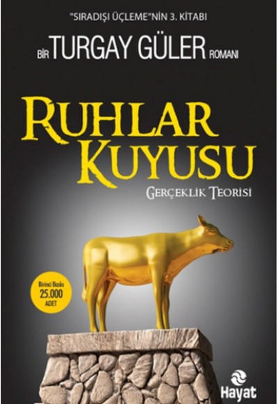 Ruhlar Kuyusu - Gerçeklik Teorisi