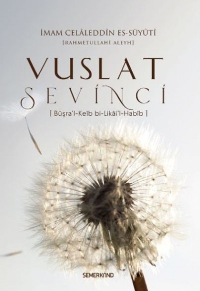 Vuslat Sevinci