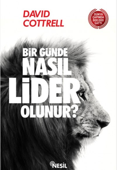 Bir Günde Nasıl Lider Olunur?