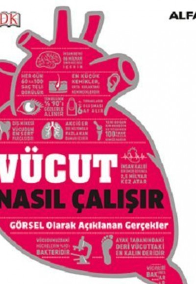 Vücut Nasıl Çalışır