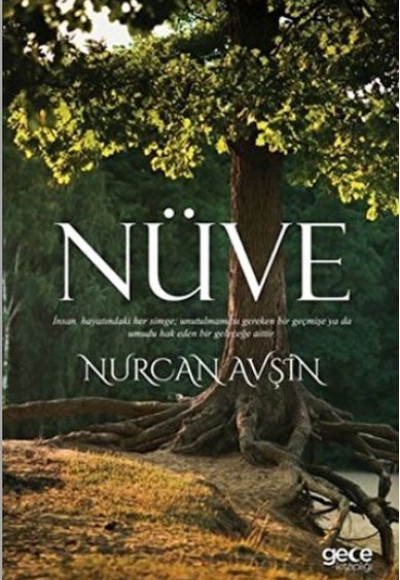 Nüve