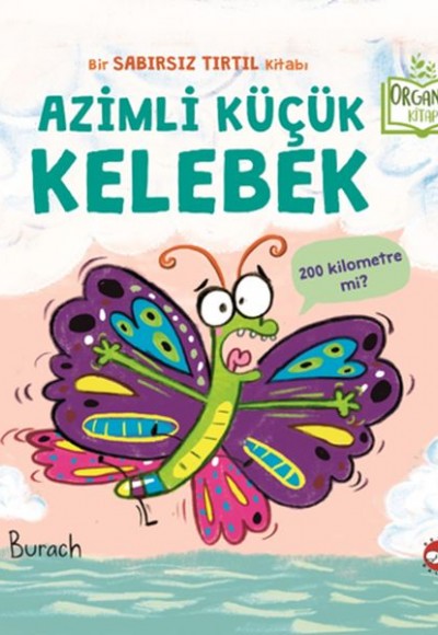 Azimli Küçük Kelebek