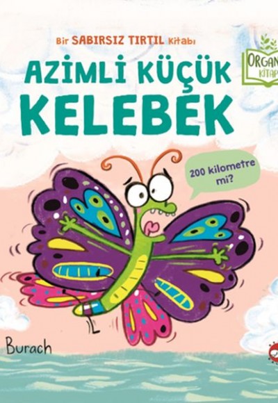 Azimli Küçük Kelebek