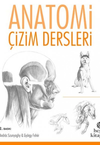 Anatomi Çizim Dersleri