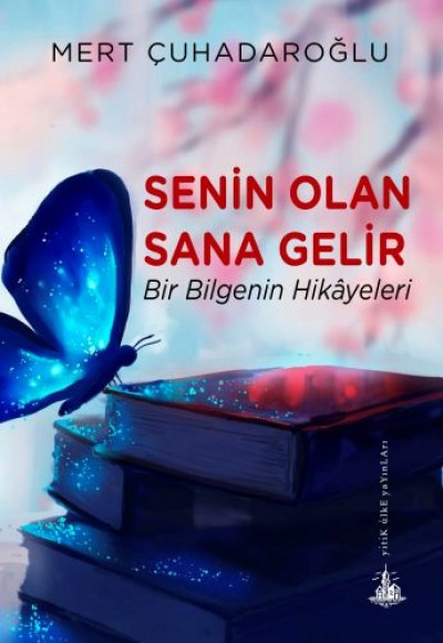 Senin Olan Sana Gelir