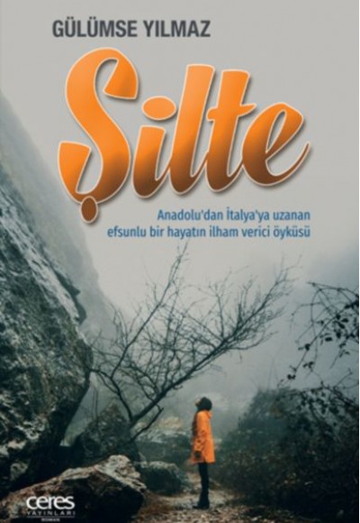 Şilte