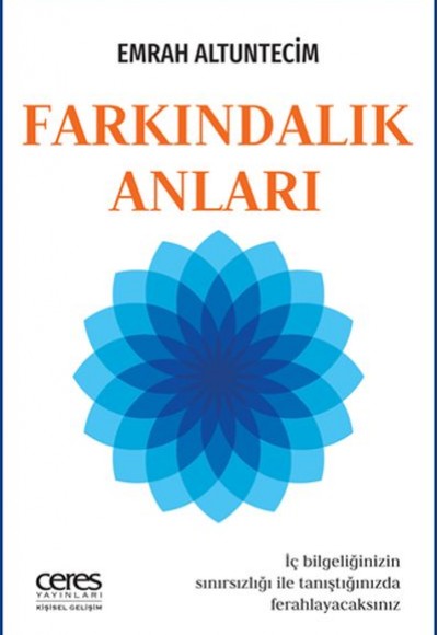 Farkındalık Anları