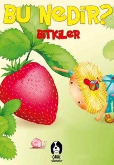 Bu Nedir - Bitkiler