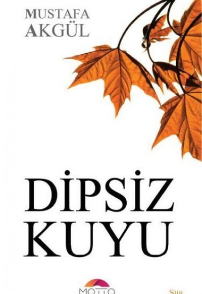 Dipsiz Kuyu