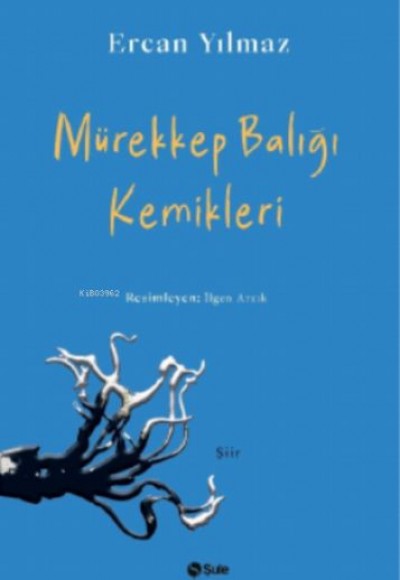 Mürekkep Balığı Kemikleri