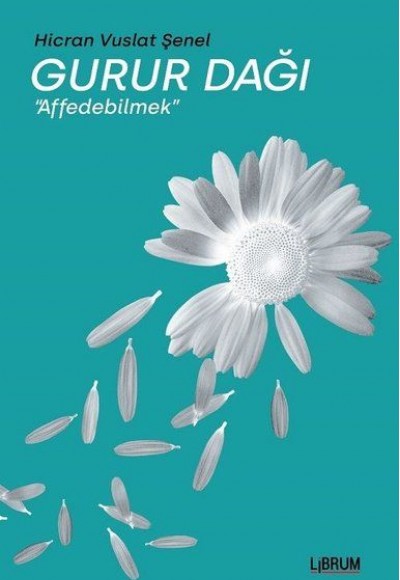 Gurur Dağı - Affedebilmek