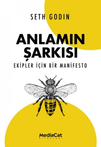 Anlamın Şarkısı