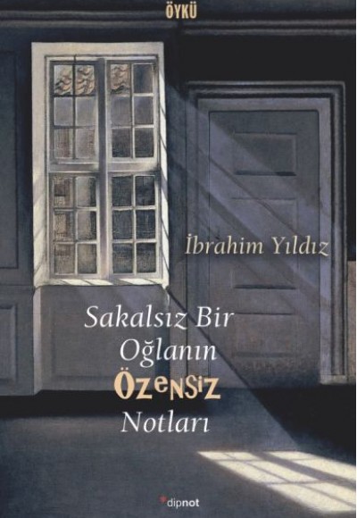 Sakalsız Bir oğlanın Özensiz Notları