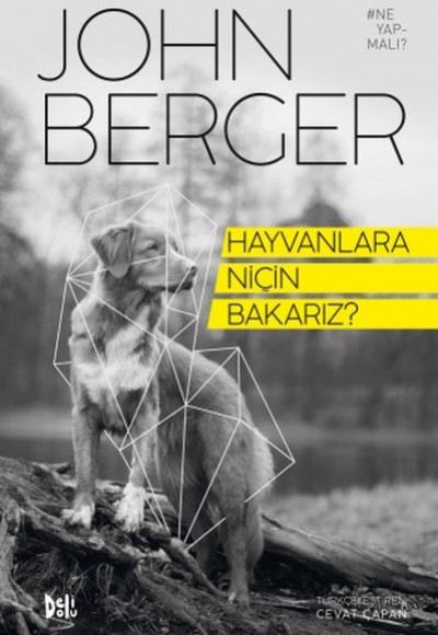 Hayvanlara Niçin Bakarız?