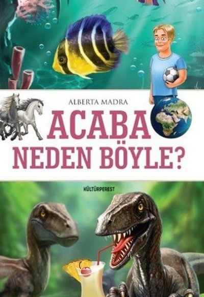 Acaba Neden Böyle?