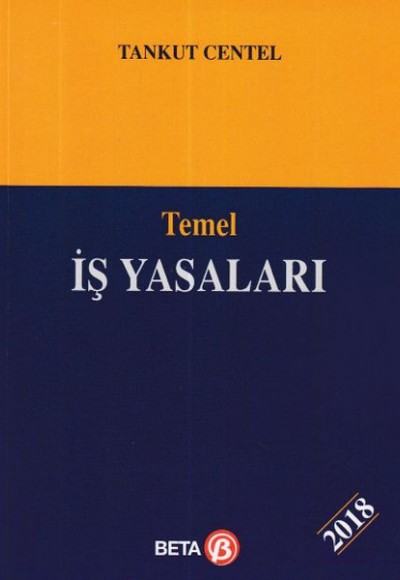 Temel İş Yasaları