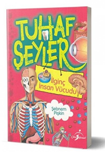 Tuhaf Şeyler - İlginç İnsan Vücudu