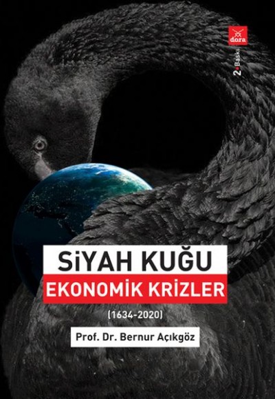 Siyah Kuğu Ekonomik Krizler