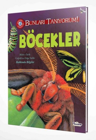 Bunları Tanıyorum! - Böcekler