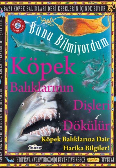 Köpek Balıklarının Dişleri Dökülür - Bunu Bilmiyordum - Köpek Balıklarına Dair Harika Bilgiler!