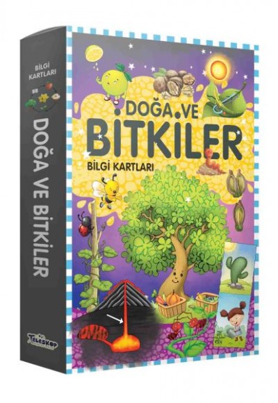 Bilgi Kartları - Doğa ve Bitkiler