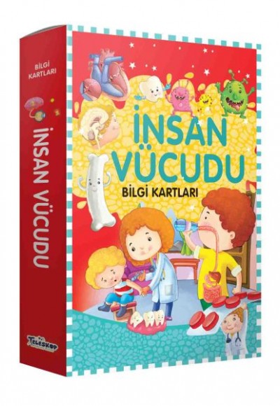 Bilgi Kartları - İnsan Vücudu