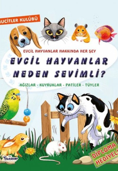 Evcil Hayvanlar Neden Sevimli? Evcil Hayvanlar Neden Sevimli?