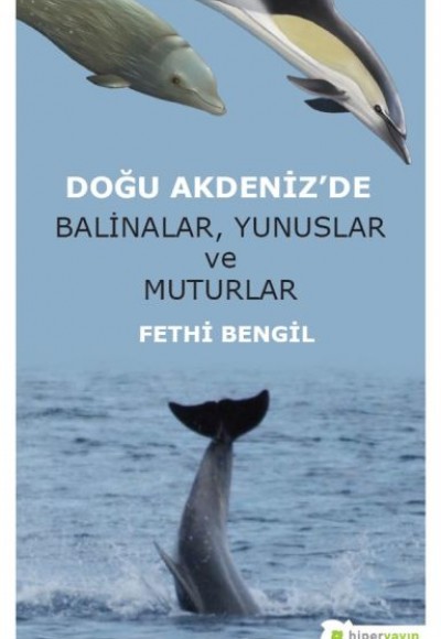 Doğu Akdeniz’de Balinalar, Yunuslar ve Muturlar