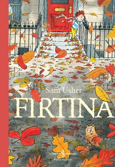 Fırtına