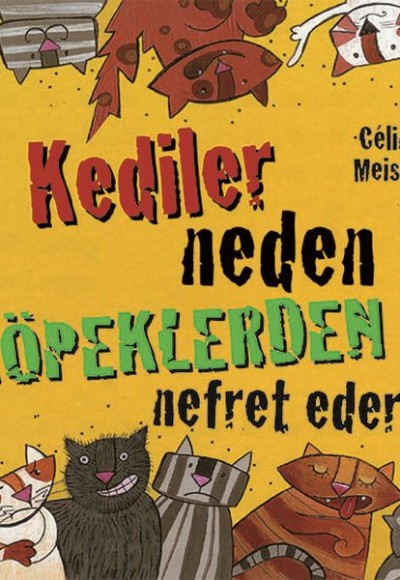 Kediler Neden Köpeklerden Nefret Eder?