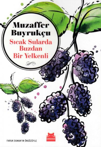 Sıcak Sularda Buzdan Bir Yelkenli