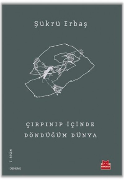 Çırpınıp İçinde Döndüğüm Dünya