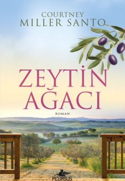 Zeytin Ağacı