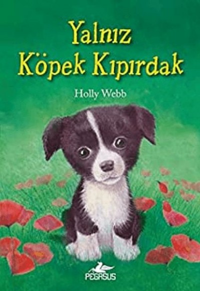 Yalnız Köpek Kıpırdak