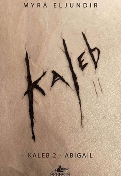Kaleb 2 - Abigail