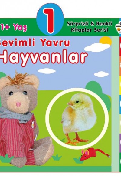 Yaş Sevimli Yavru Hayvanlar (1+Yaş)