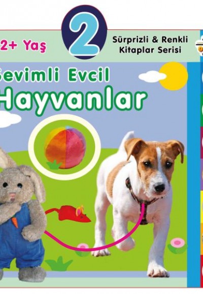 Yaş Sevimli Evcil Hayvanlar (2+Yaş)