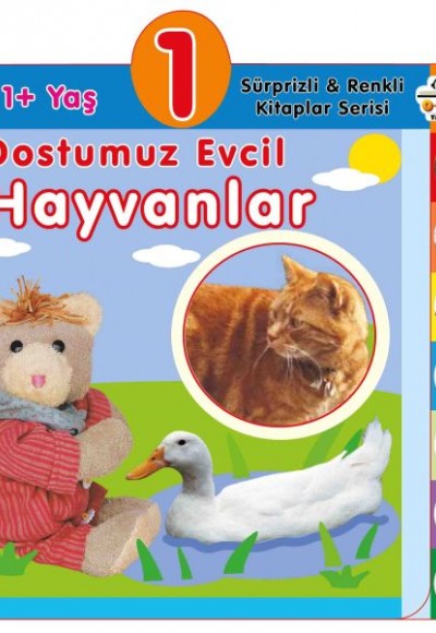 Dostumuz Evcil Hayvanlar (1+Yaş)