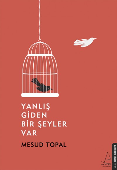 Yanlış Giden Bir Şeyler Var