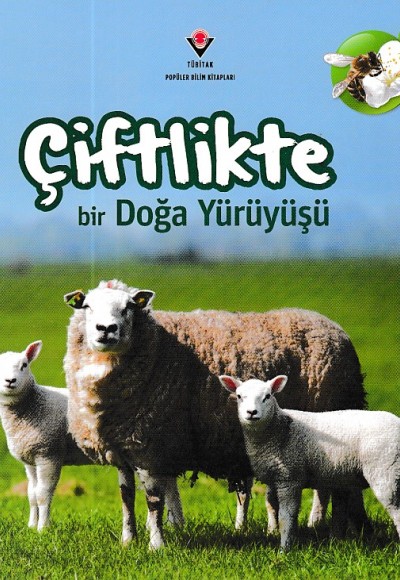 Çiftlikte Bir Doğa Yürüyüşü