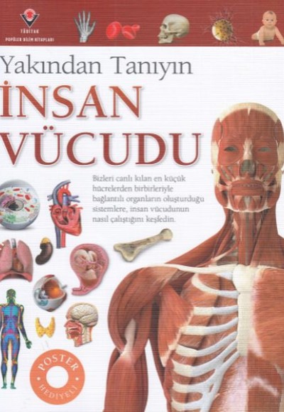 İnsan Vücudu - Yakından Tanıyın