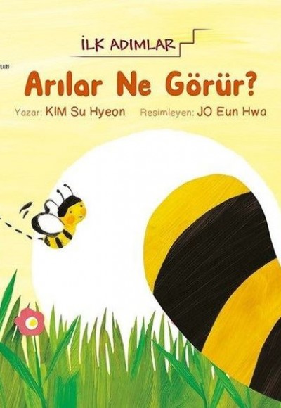Arılar Ne Görür? - İlk Adımlar