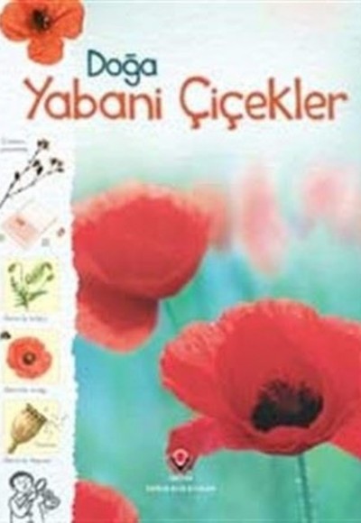 Doğa-Yabani Çiçekler