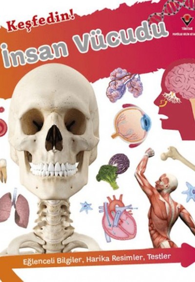 Keşfedin! İnsan Vücüdu