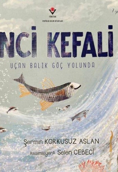 İnci Kefali