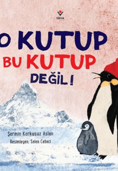 O Kutup Bu Kutup Değil!