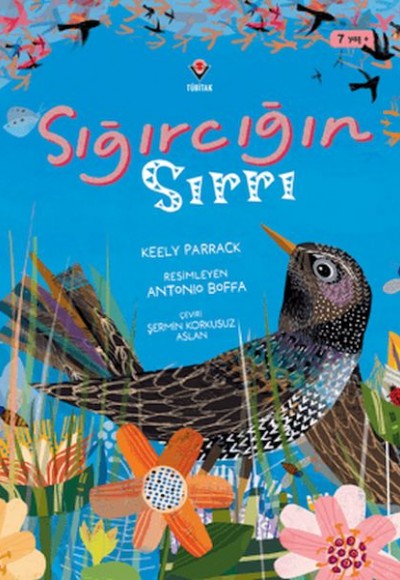 Sığırcığın Sırrı Sığırcığın Sırrı