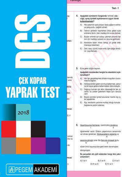 2018 DGS Çek Kopar Yaprak Test